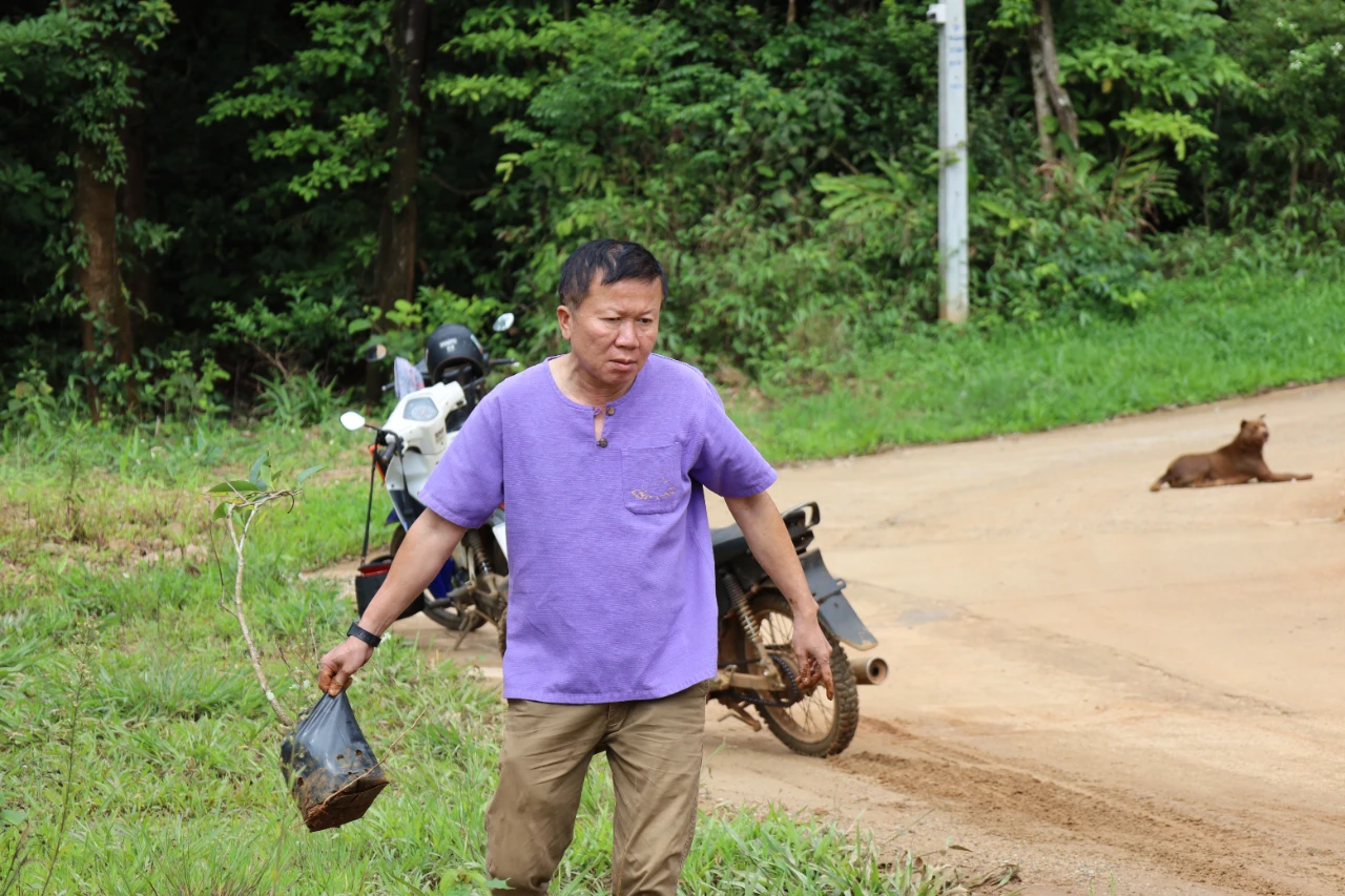 catalogs_file_969_12_25_404175.webp