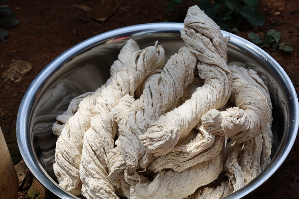 catalogs_file_736_29_1_616505.webp